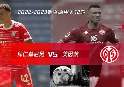 美因茨主场击败对手,保持主场不败纪录